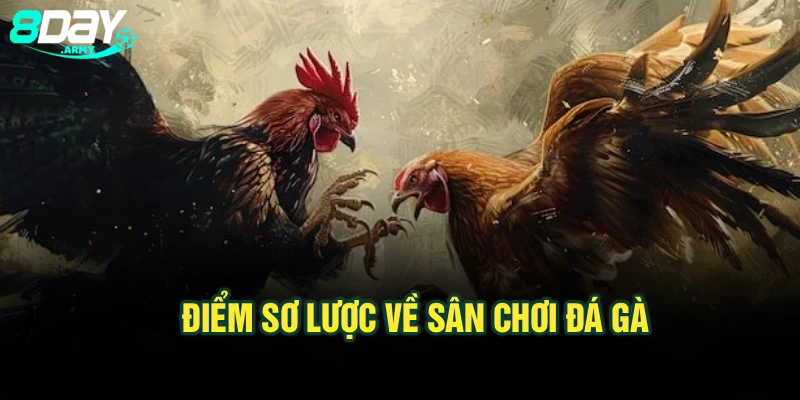 Điểm sơ lược về sân chơi đá gà