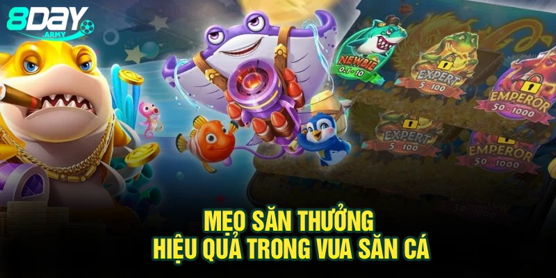 Mẹo săn thưởng hiệu quả trong Vua săn cá