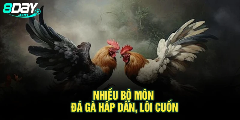Nhiều bộ môn đá gà hấp dẫn, lôi cuốn