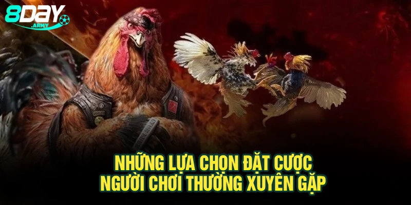 Những lựa chọn đặt cược người chơi thường xuyên gặp