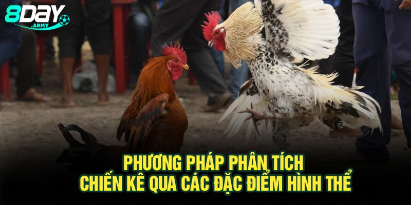 Phương pháp phân tích chiến kê qua các đặc điểm hình thể