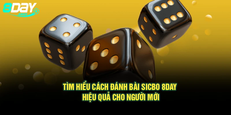 Tìm Hiểu Cách Đánh Bài Sicbo 8Day Hiệu Quả Cho Người Mới