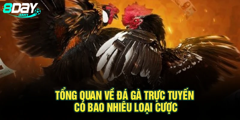 Tổng quan về đá gà trực tuyến có bao nhiêu loại cược